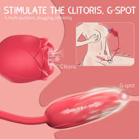 Succionador Insertable 2