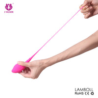 Ben Wa (Kit de Kegel)