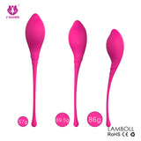 Ben Wa (Kit de Kegel)