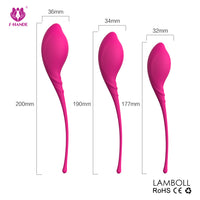 Ben Wa (Kit de Kegel)