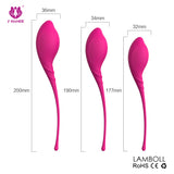 Ben Wa (Kit de Kegel)