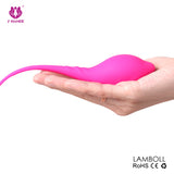 Ben Wa (Kit de Kegel)