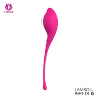 Ben Wa (Kit de Kegel)
